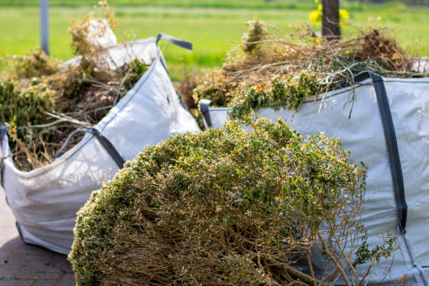 Best Household Junk Removal  in Mount Oliver, PA